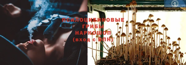 СК Аркадак