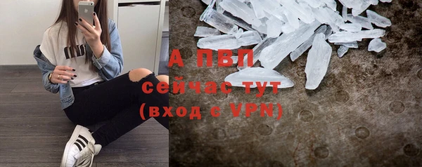 СК Аркадак